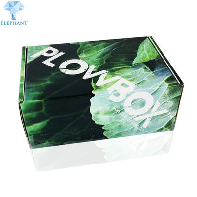 Pencetakan Kustom Eco Die Friendly Cut Flat Pack Karton Lipat Bergelombang Kotak Pengiriman Melon